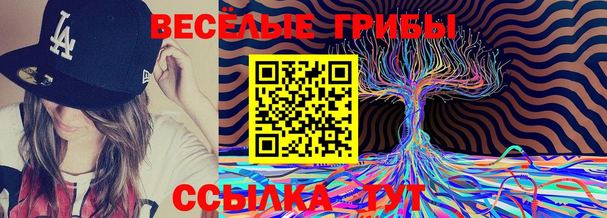 Галлюциногенные грибы ЛСД Березники